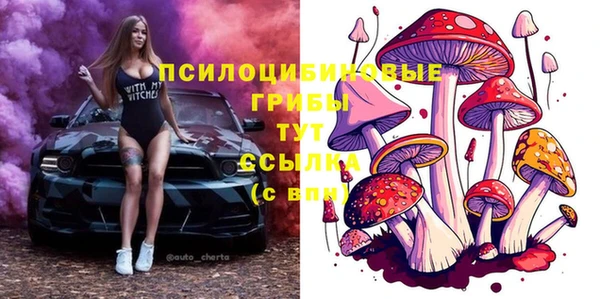 первитин Алексеевка