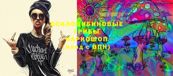 дмт Алексин