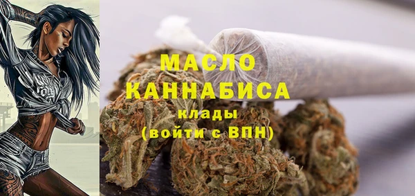 дмт Алексин